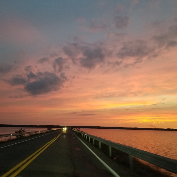 Not for sale - Picture 3 of 4